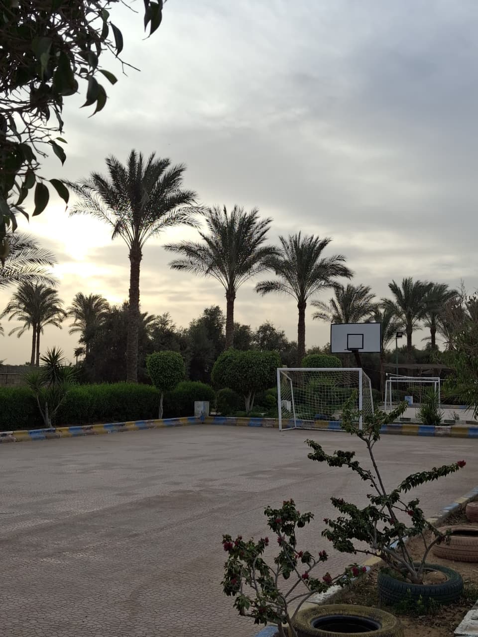 ملعب كرة قدم