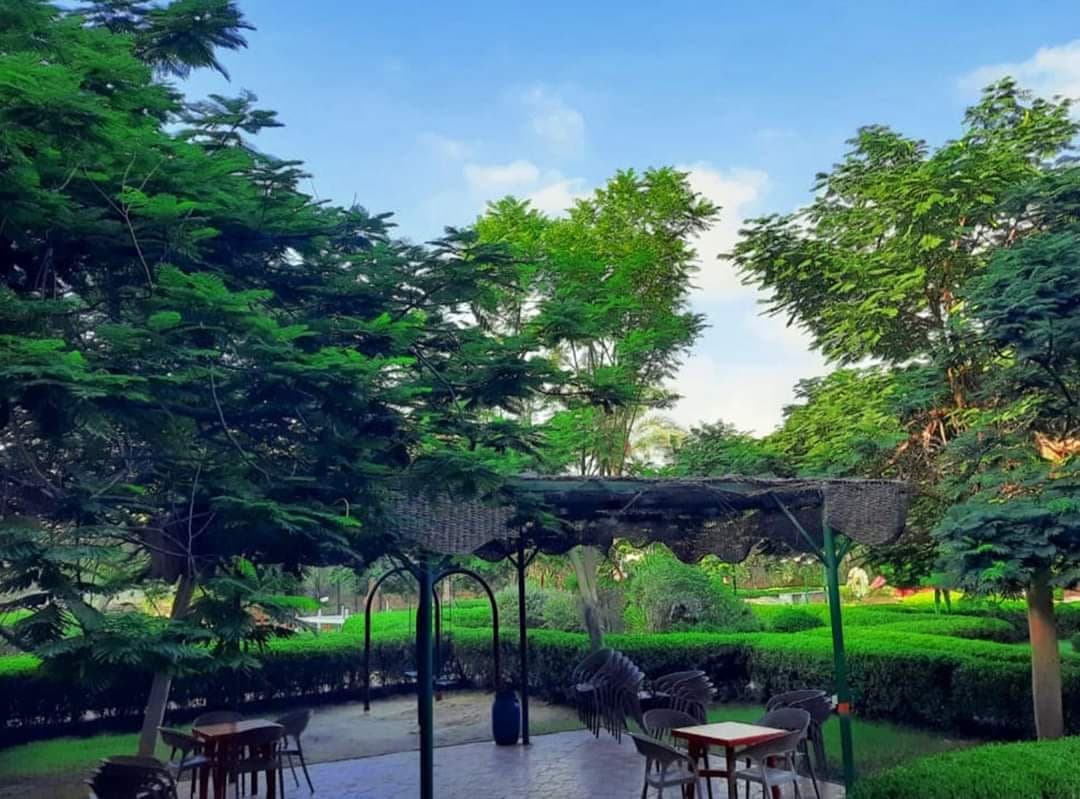 مساحات خضراء